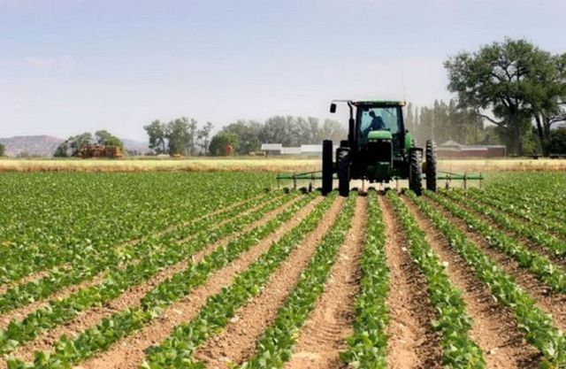 Νέες προθεσμίες για την υποβολή προτάσεων στο πρόγραμμα 'στήριξη για επενδύσεις σε γεωργικές εκμεταλλεύσεις'